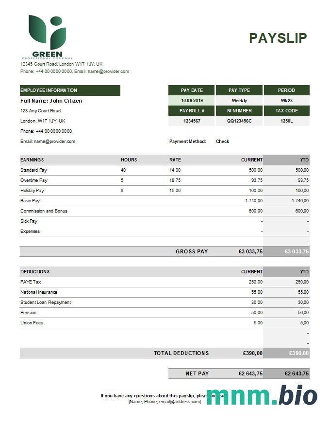 green industry earning statement template w formatach Excel i PDF